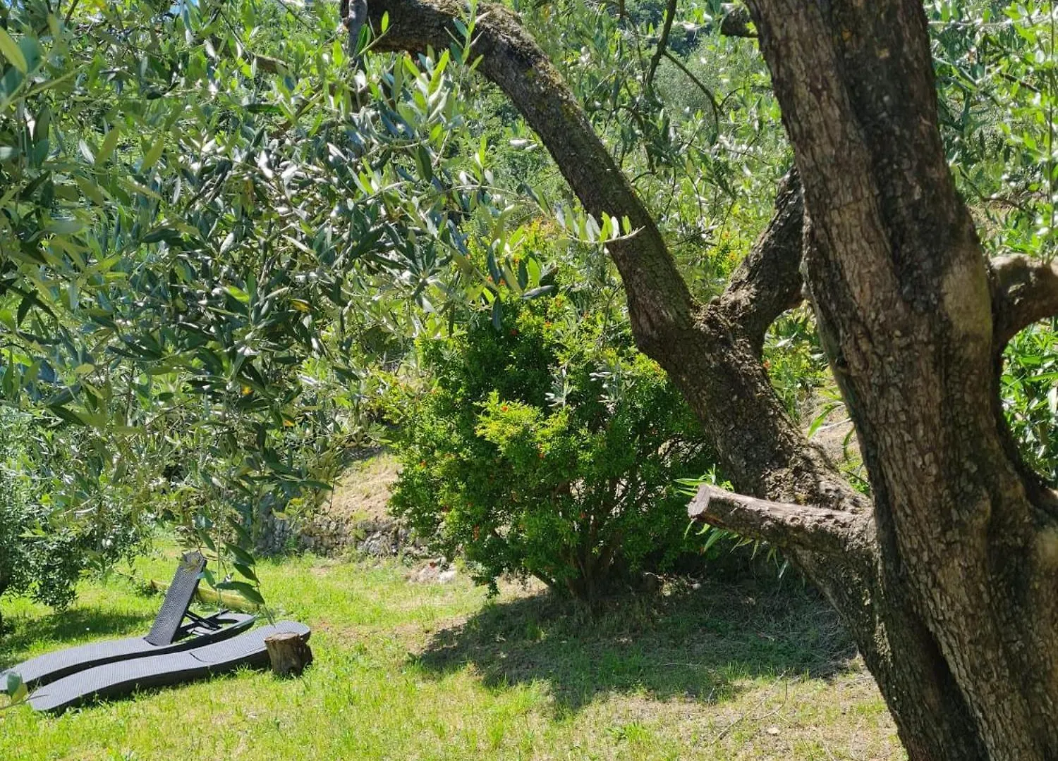Holiday home Le Tre Isole Villa Parzanica